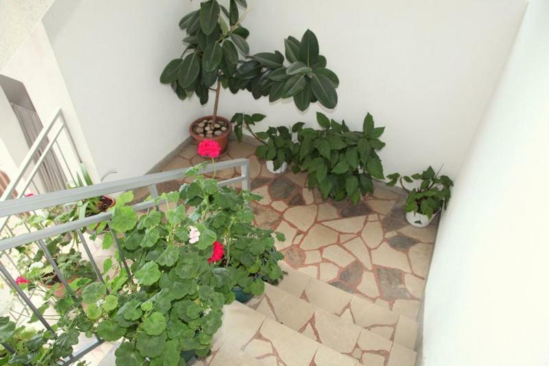 Apartments Villa Ravlic Макарска Екстериор снимка